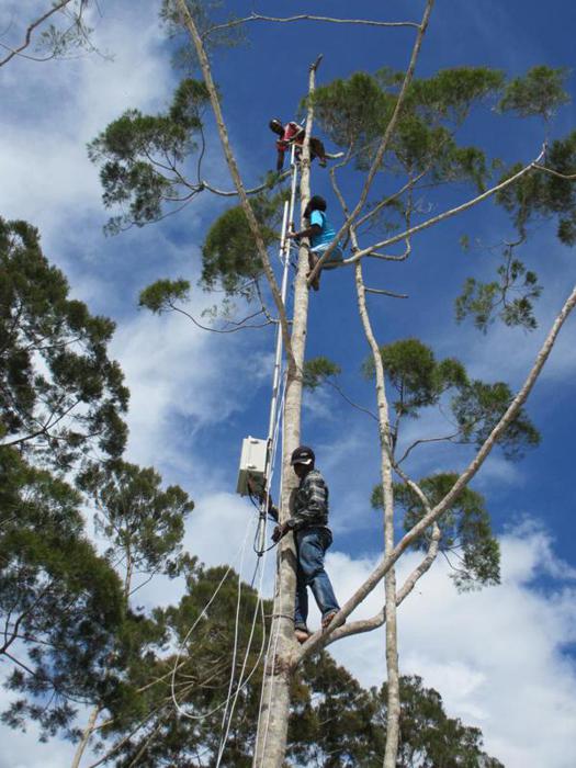 Papua tower installation